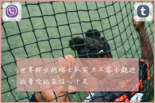 世界杯分析瑞士队实力不容小觑迎战哥伦比亚信心十足